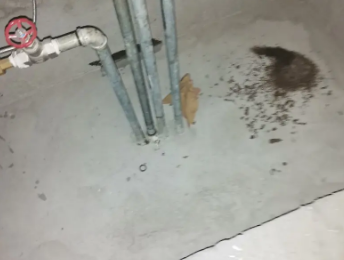 句容卫生间测漏水价格明细